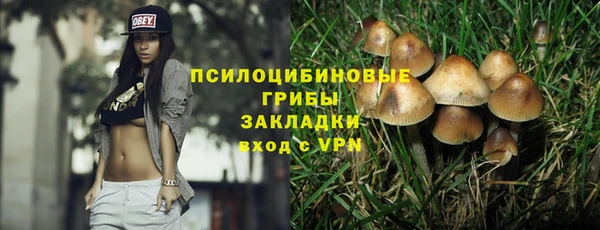 2c-b Пересвет