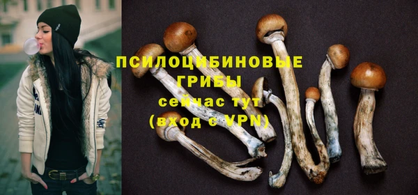 СК Переславль-Залесский