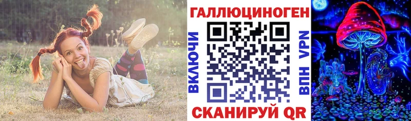 Псилоцибиновые грибы GOLDEN TEACHER  Кадников 