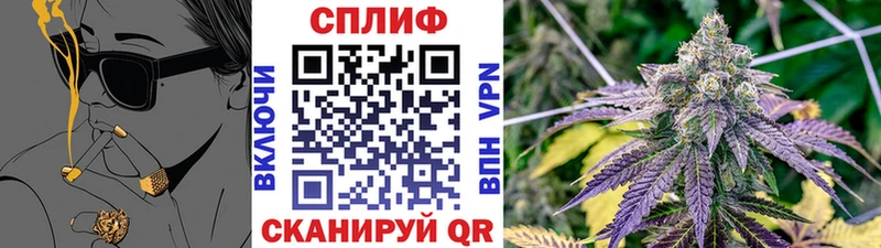 Канабис план  Кадников 